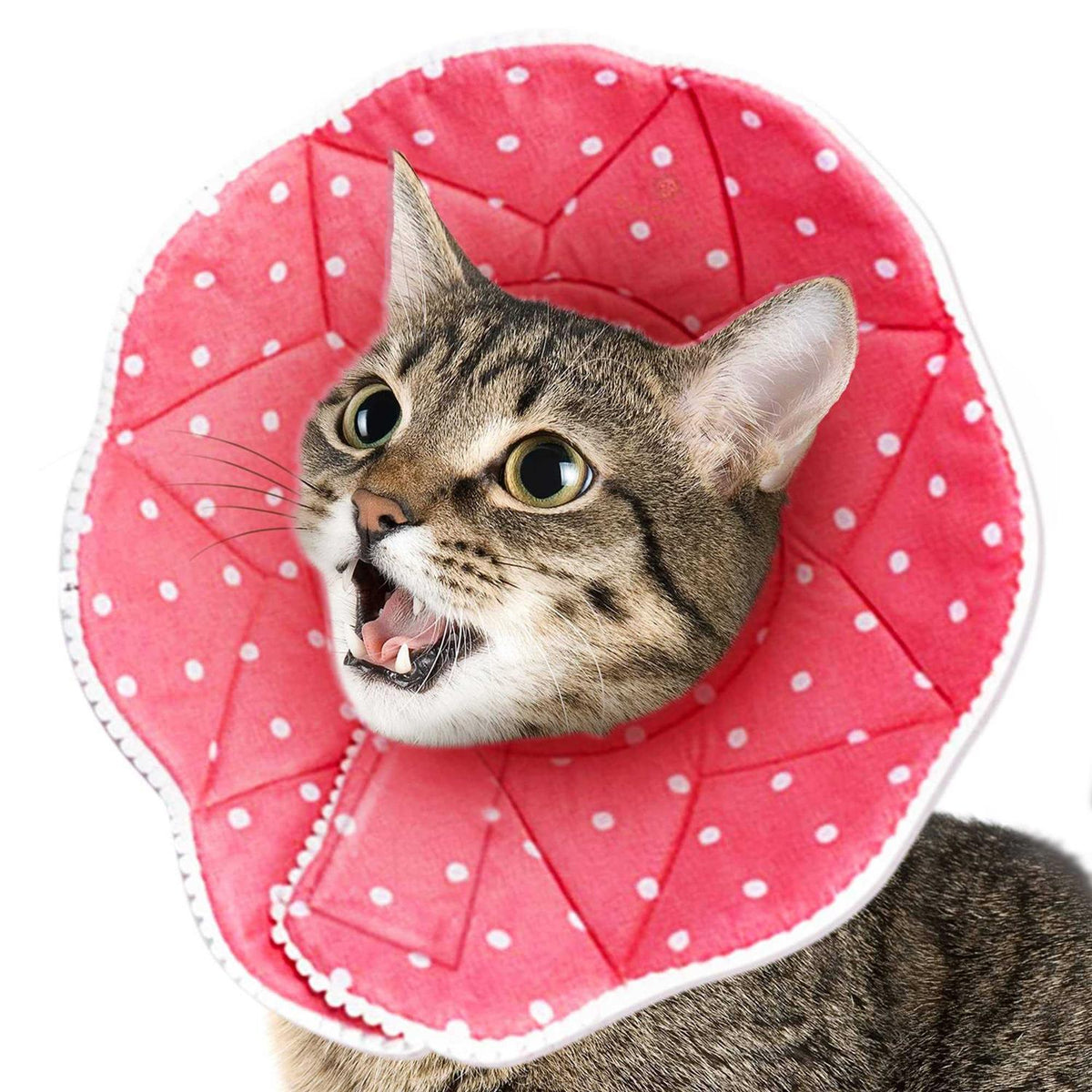 Soft e Collar for Small Dogs & Cats R18175