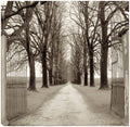 Canvas Art 22X22 Q68993