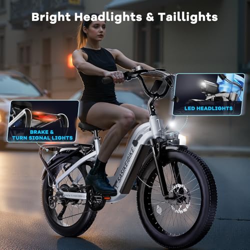 24" Fat Tire Electric Bike, 48V 20AH Removable Battery, 7 Speed F16725