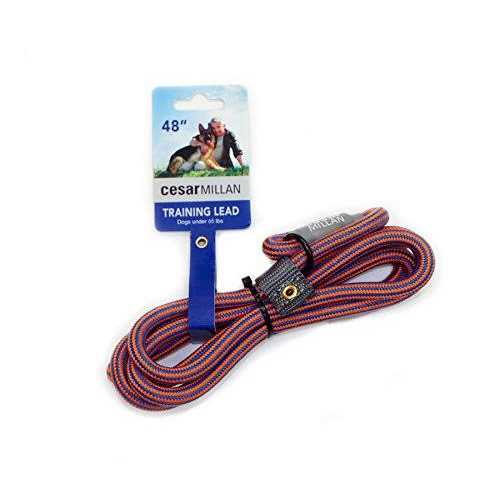 Slip Lead Leash 2-in-1 Dog Training Lead & Collar S433517