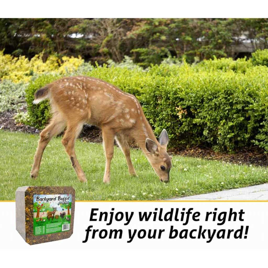Backyard Buffet Wildlife Treat Q611756