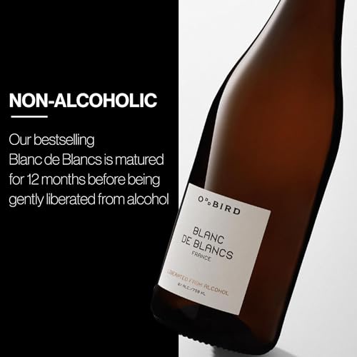 Non-Alcoholic Red Wine, 25 Fl Oz Bottle I5583