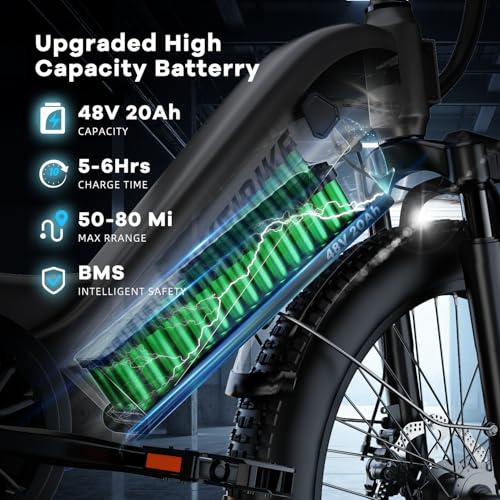 24" Fat Tire Electric Bike, 48V 20AH Removable Battery, 7 Speed F16725
