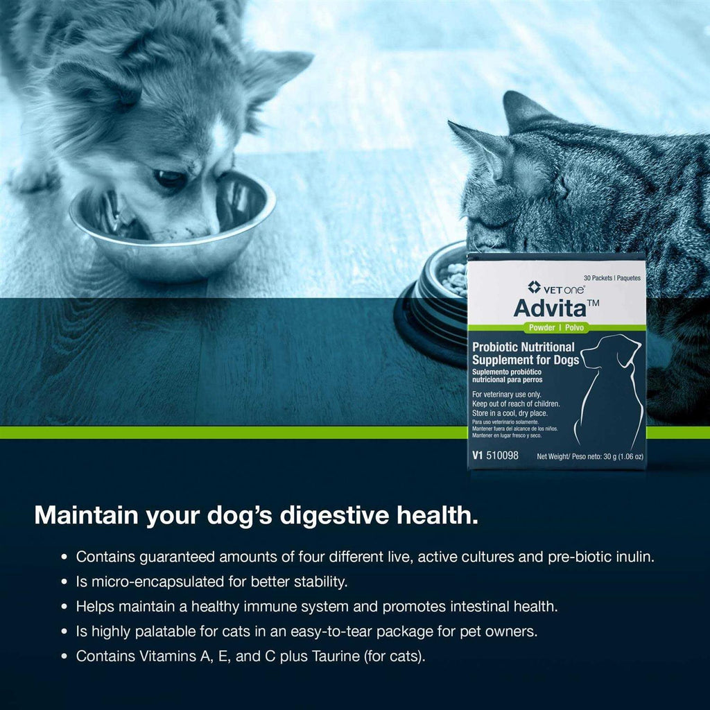 Probiotic Nutritional Supplement for Dogs T134