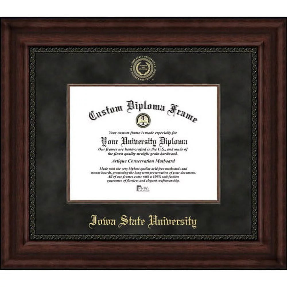 University of Illinois Executive Diploma Frame Q618744
