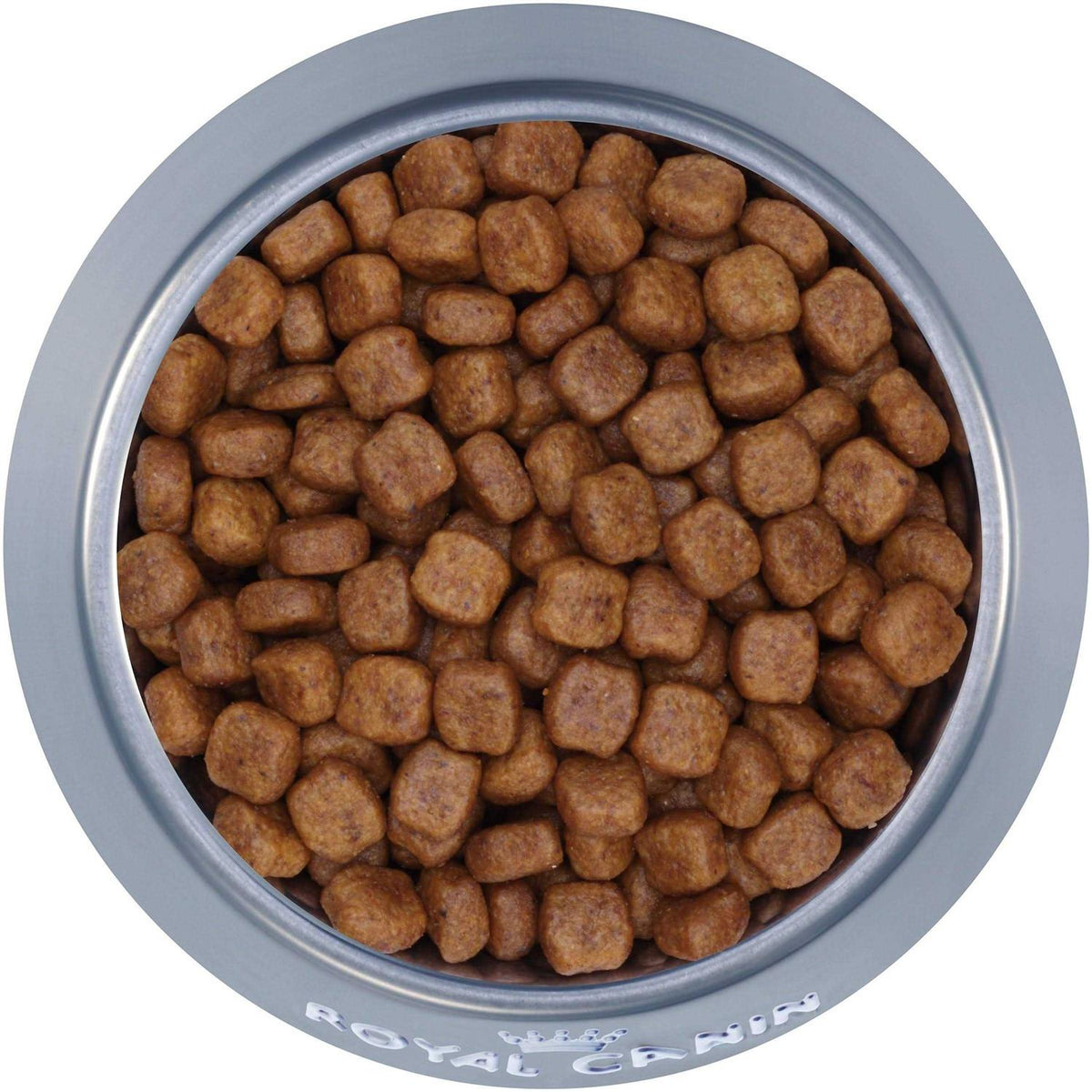 Adult Dry Dog Food B587988