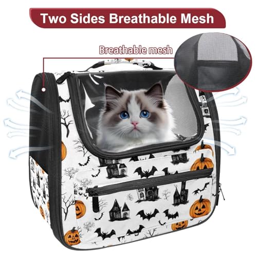 Airline Approved Pet Carrier Bag Y762
