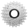 11 Speed Cassette R326
