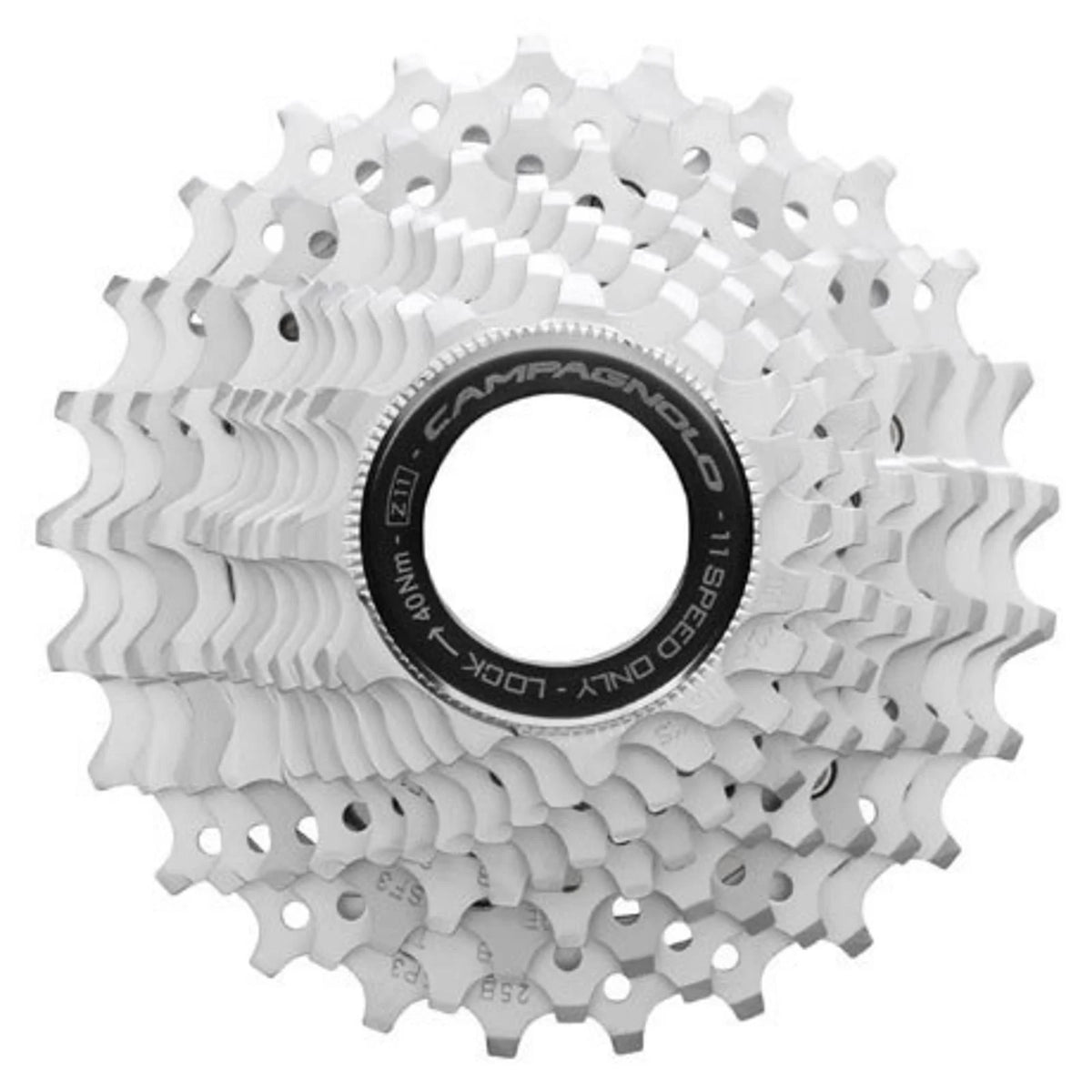 11 Speed Cassette R326
