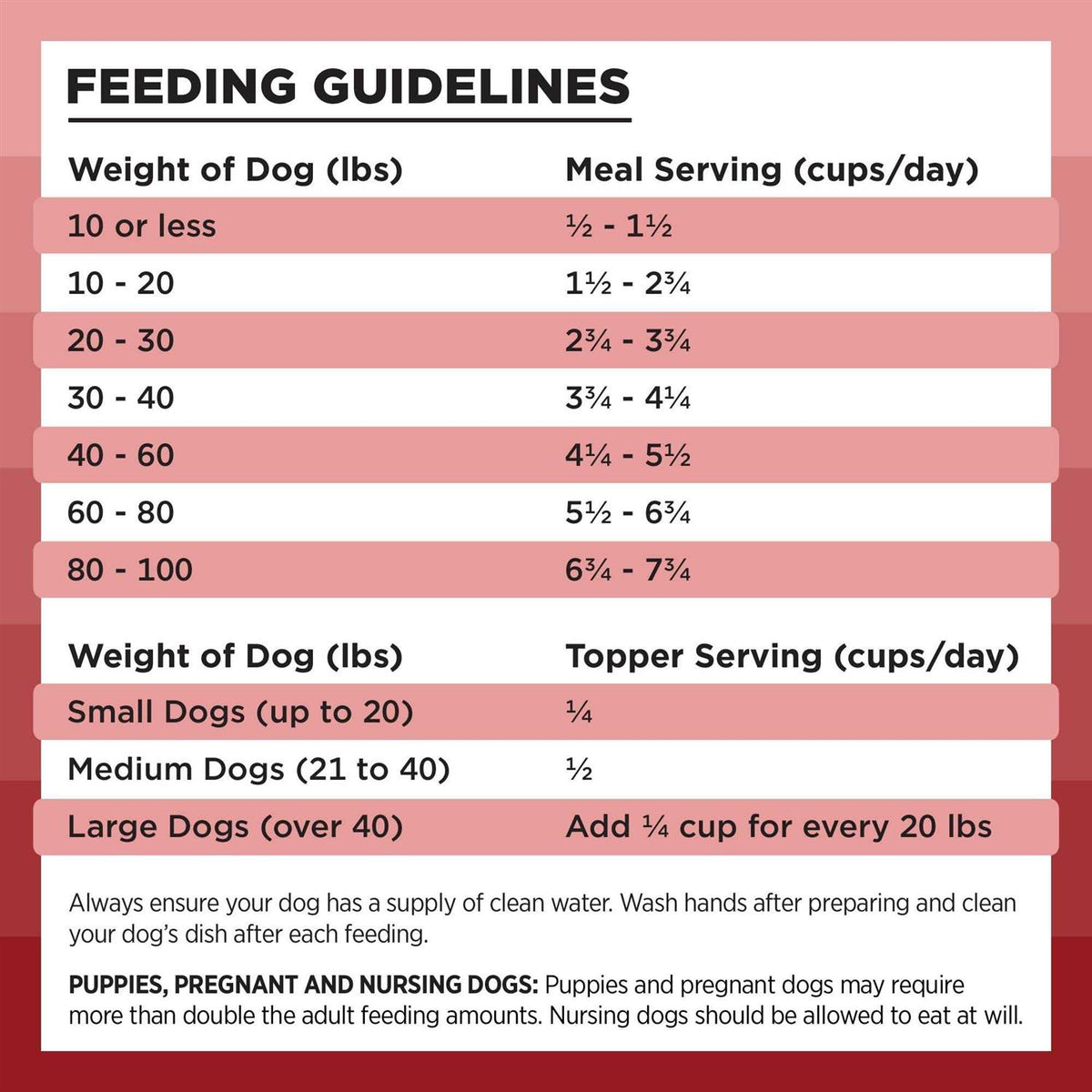 Freeze Dried Beef Dog Food N988331