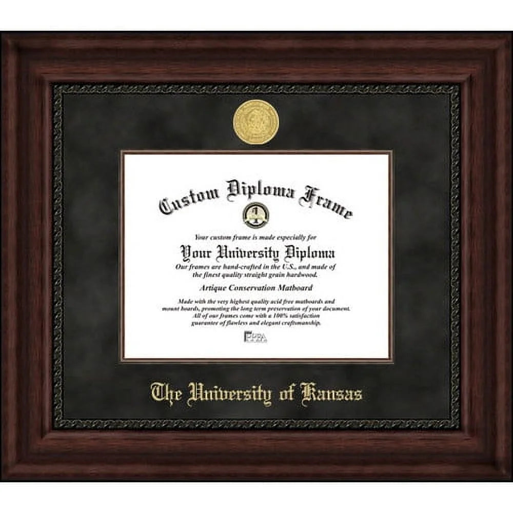 University of Illinois Executive Diploma Frame Q618744