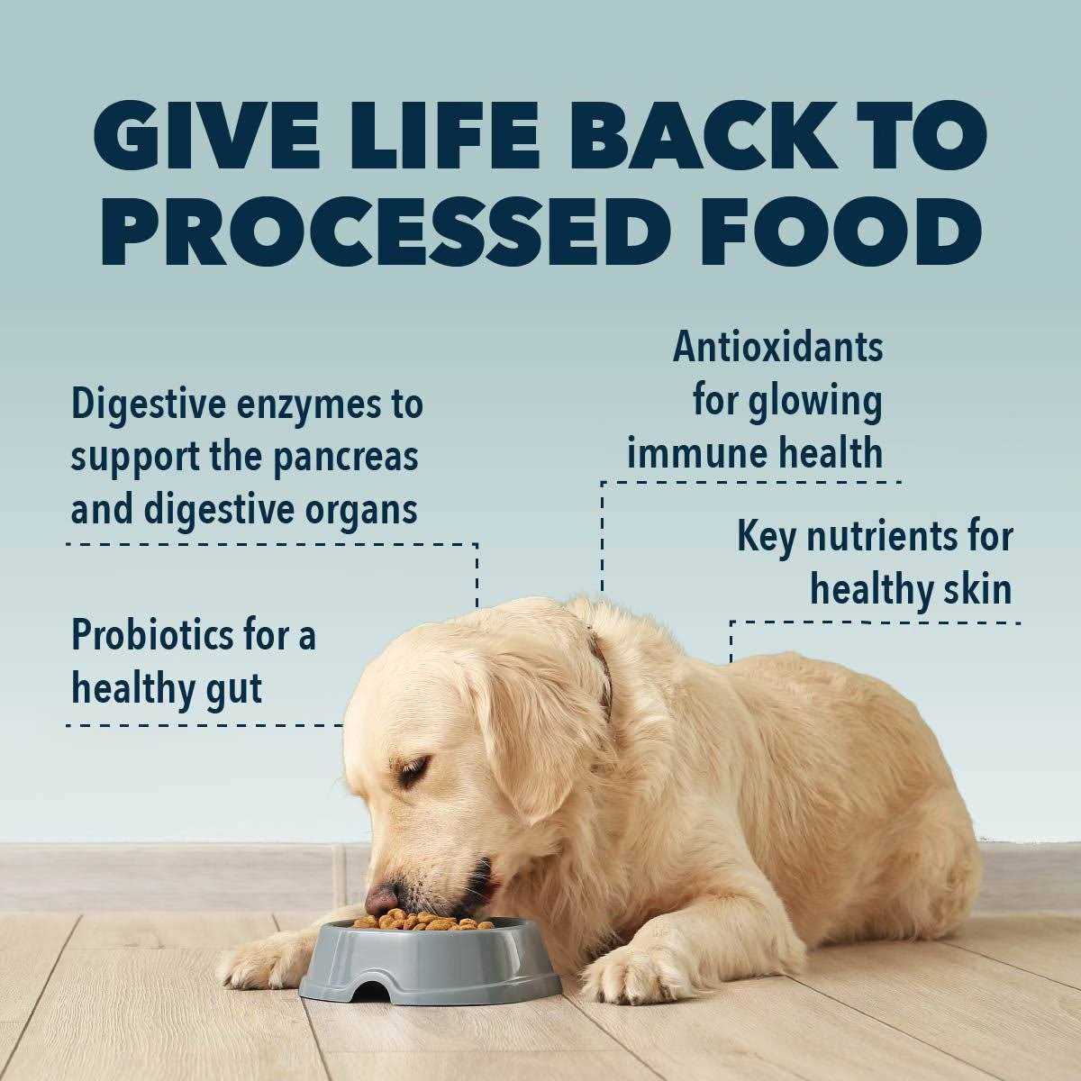 Dog Food Topper I2064