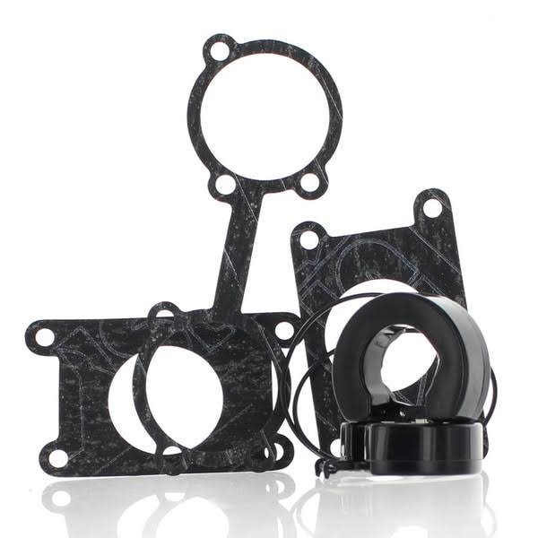 Carburetor Repair Rebuild Kit S547