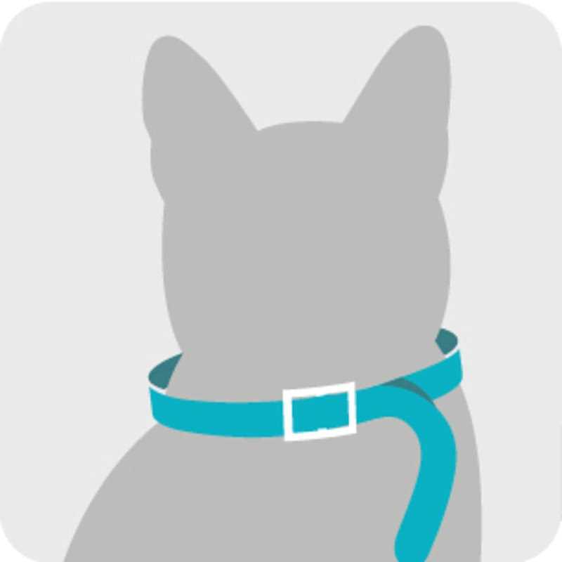 Flea & Tick Collar for Cats L770