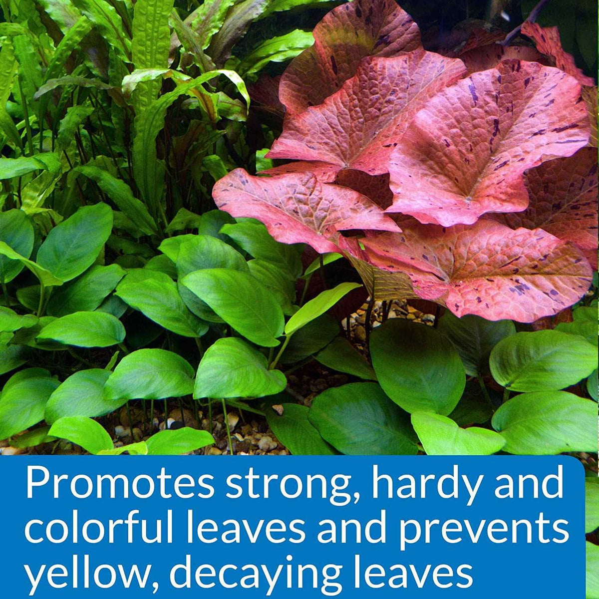 Leaf Zone Pet Supplies P9295