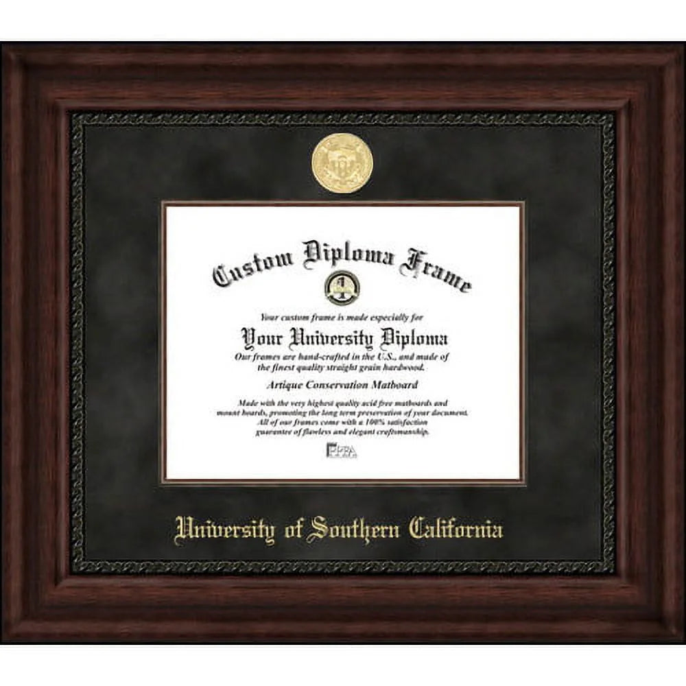 University of Illinois Executive Diploma Frame Q618744