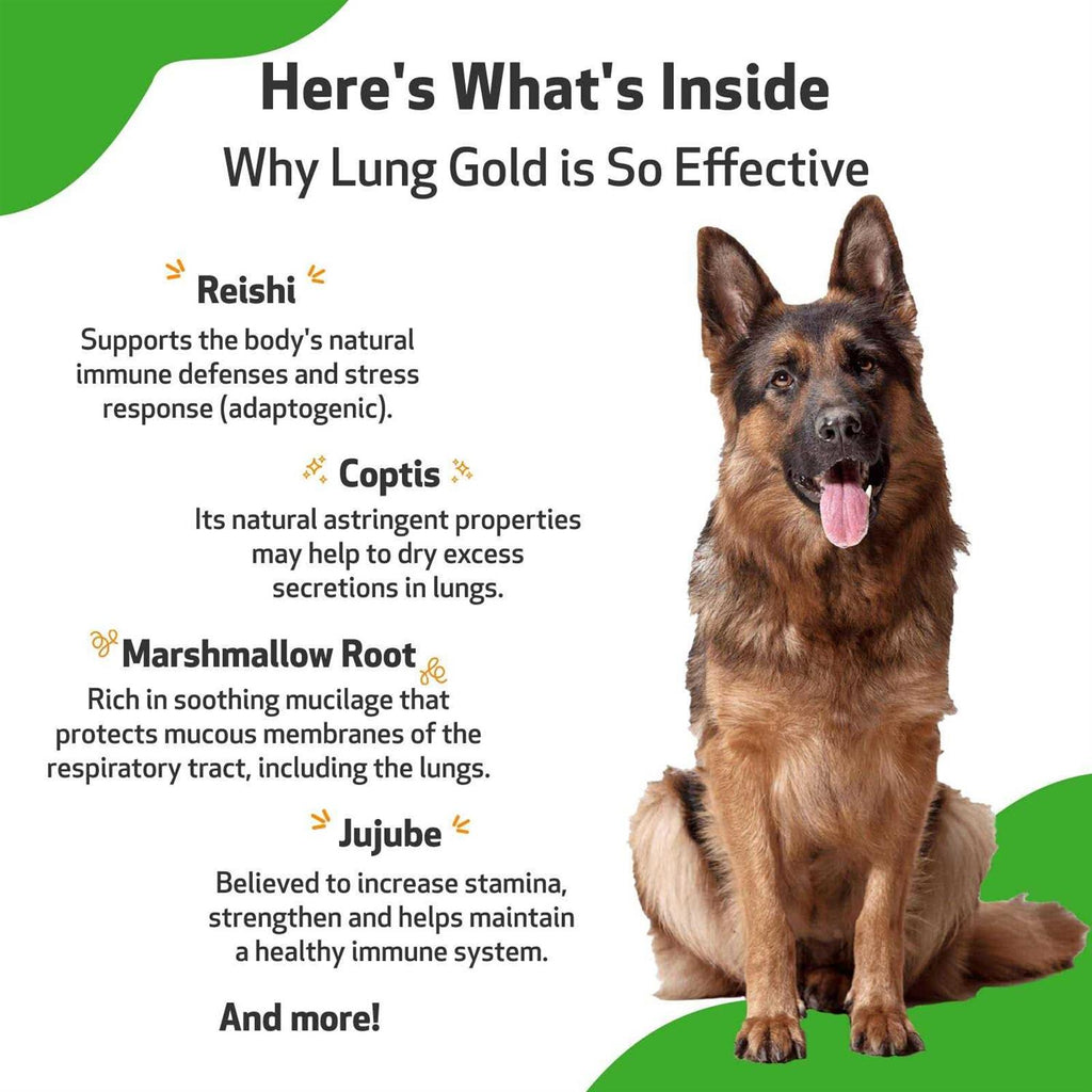 Lung Gold for Dogs K8806