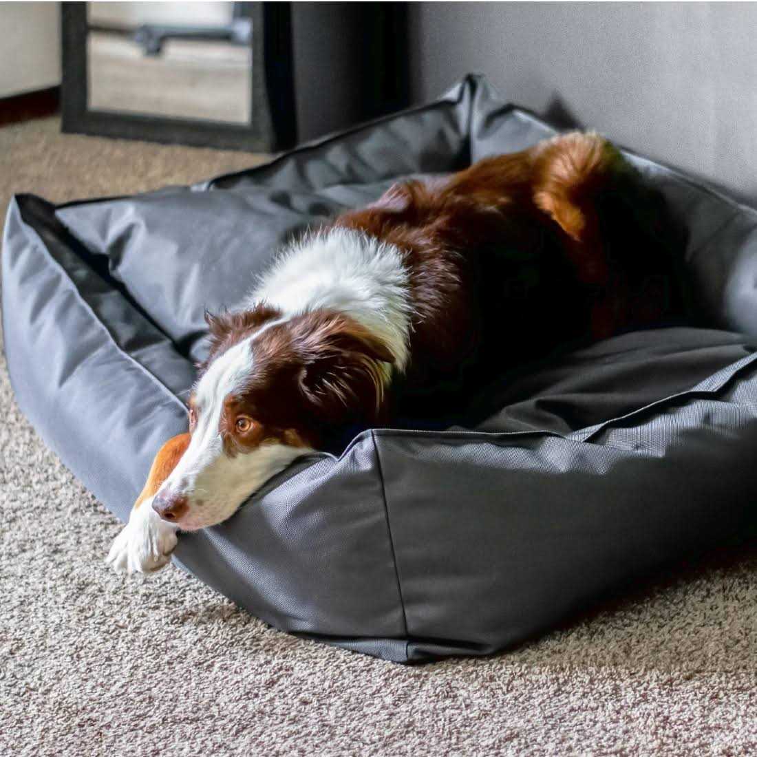 Ballistic Dog Bed M82758