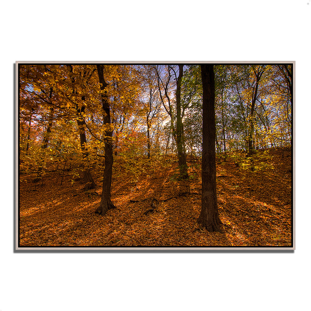 Gold Framed Photographic Print U187056