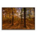 Gold Framed Photographic Print U187056