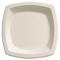 Cane Plates 500 per Carton D63466